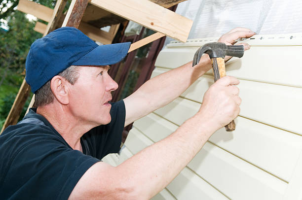 Best Fiber Cement Siding Installation  in Harvey, ND