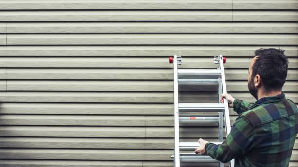 Best Residential Vinyl Siding Installation  in Harvey, ND