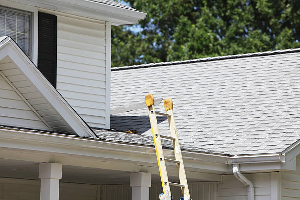Professional Siding Installation & Repair in Harvey, ND