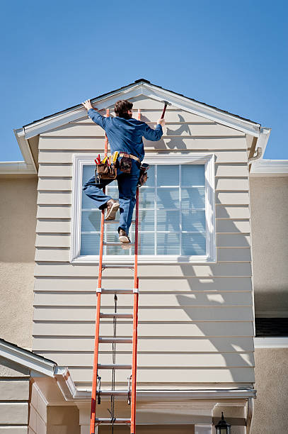 Best Wood Siding Installation  in Harvey, ND