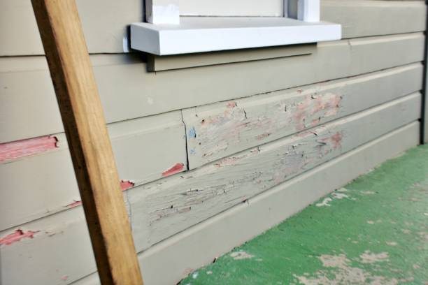 Best Engineered Wood Siding  in Harvey, ND